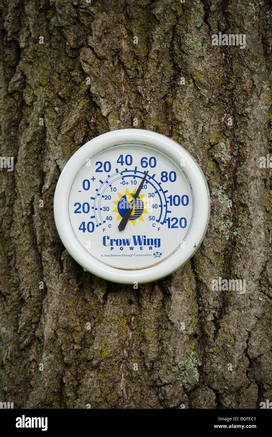 round thermometer hanging on a tree showing 40 degree temperatures cool summer weather Minnesota Stock Photo