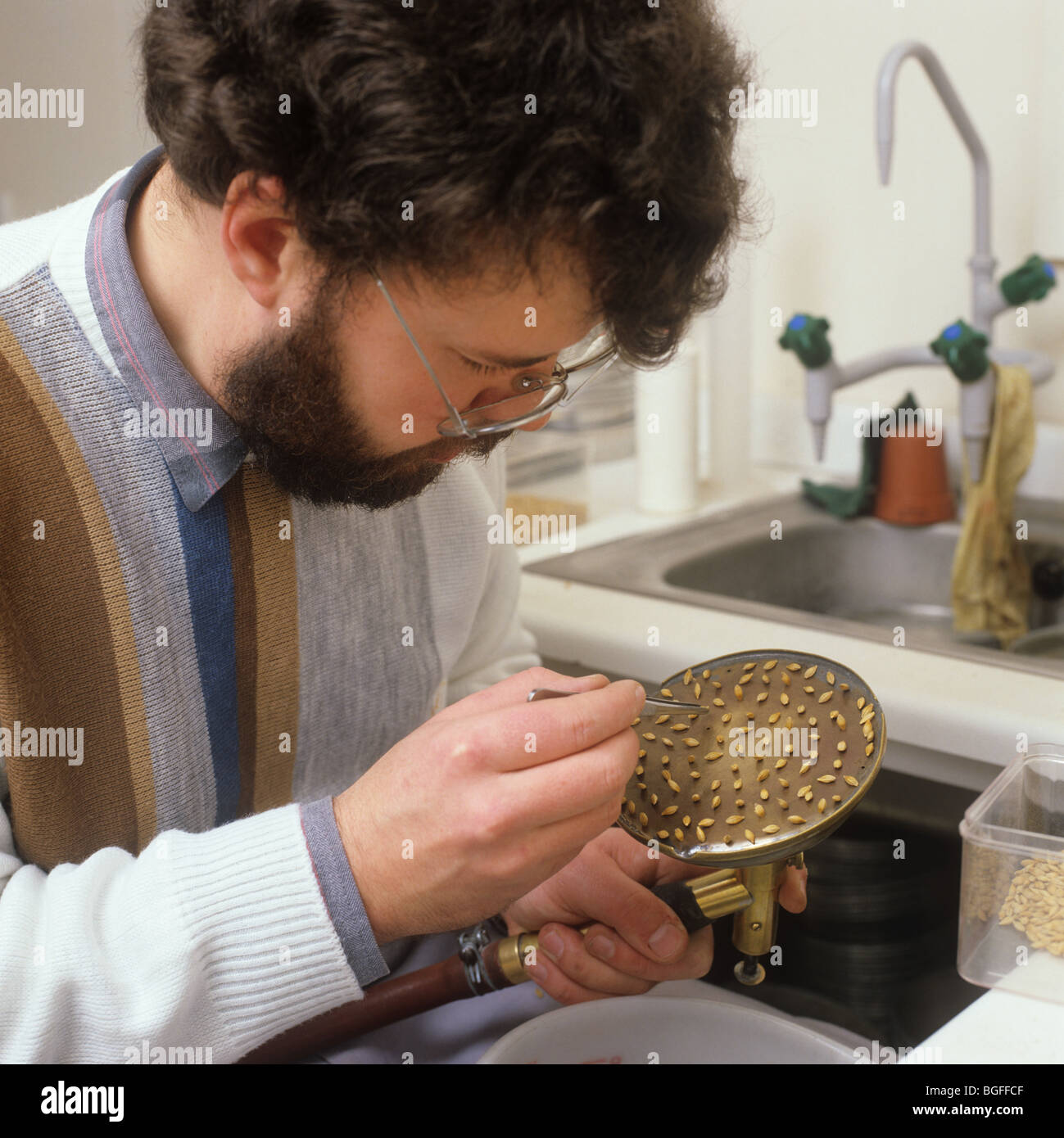 Vacuum method for sampling 100 seeds for a germination test at a grain merchants Stock Photo