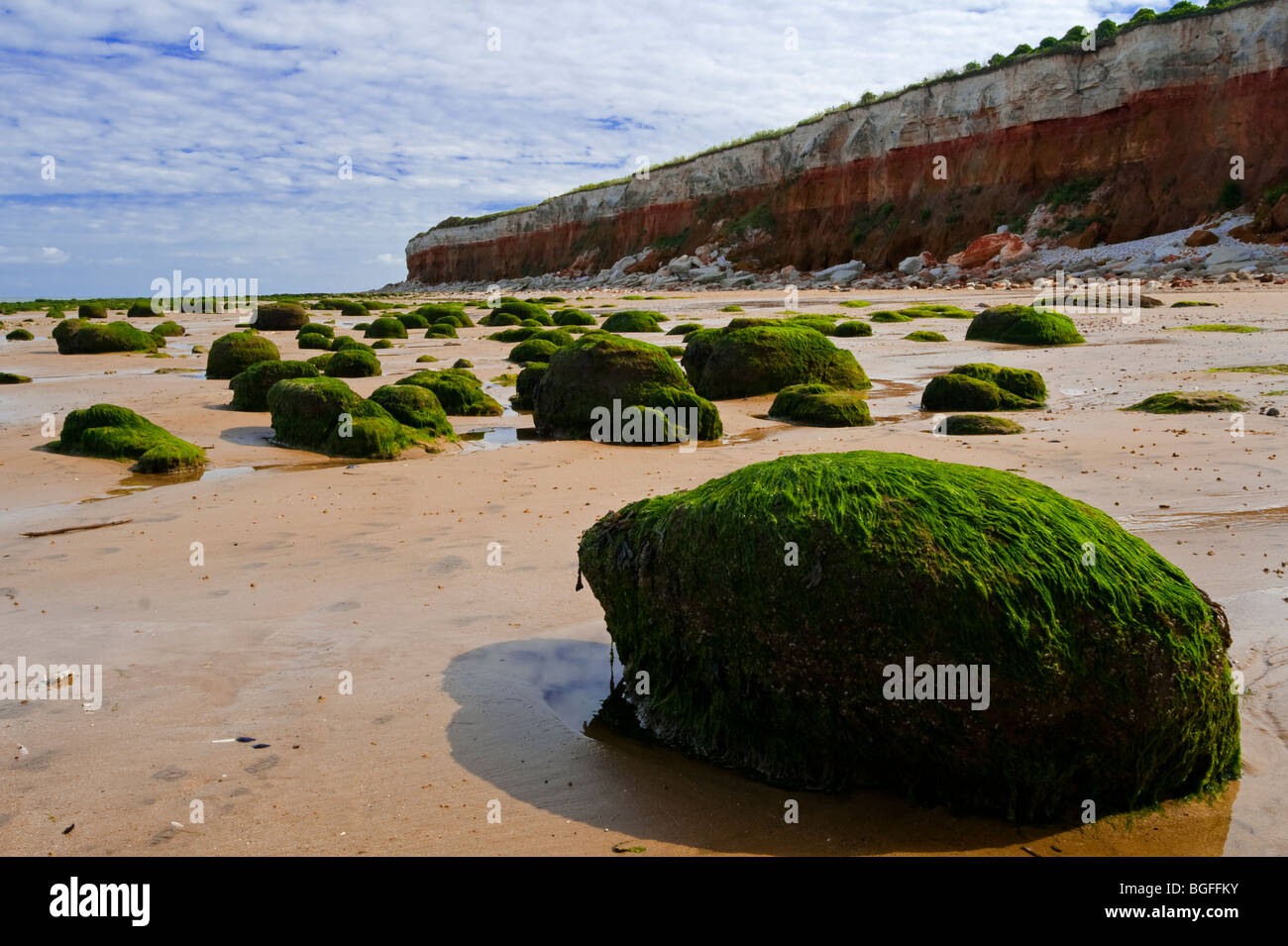 Hunstanton Beach Seaweed Covered Boulders High Resolution Stock ...