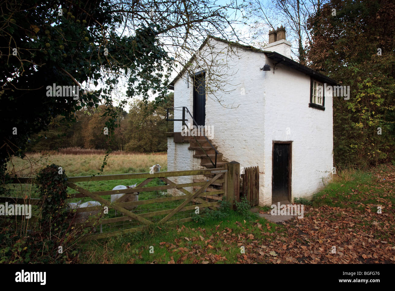 Agricultural Building on Alderley Edge in Cheshire UK with sheep looking through the gate. Stock Photo