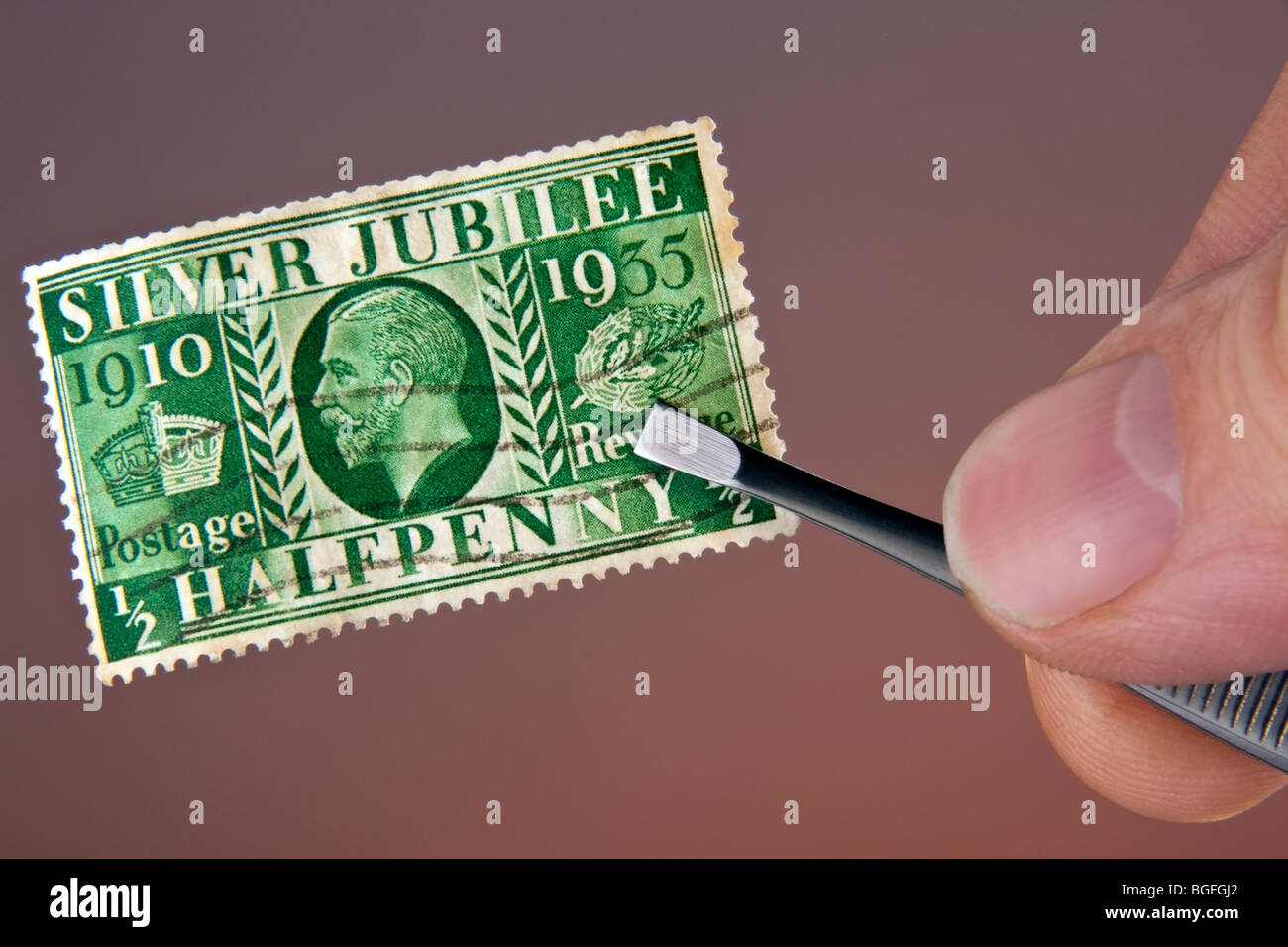 Stamp Collecting Stock Photo