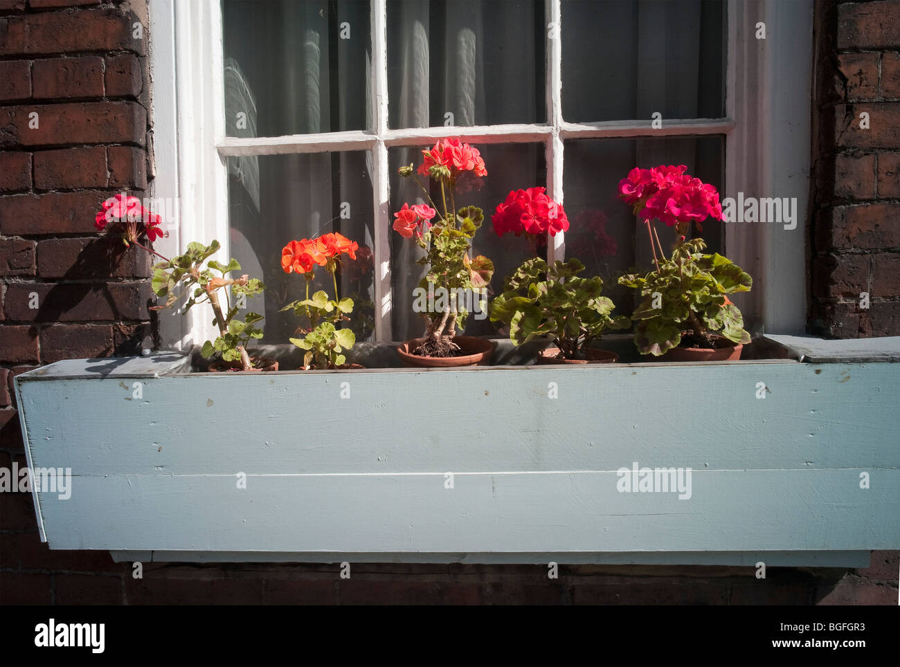 window boxes with geraniums Stock Photo Alamy