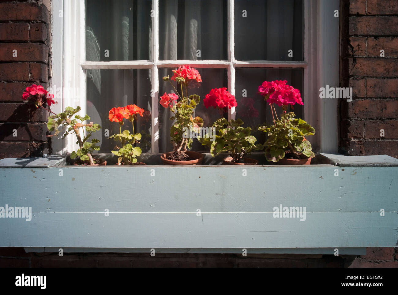 Window Boxes Using Geraniums window boxes with geraniums Stock Photo - Alamy