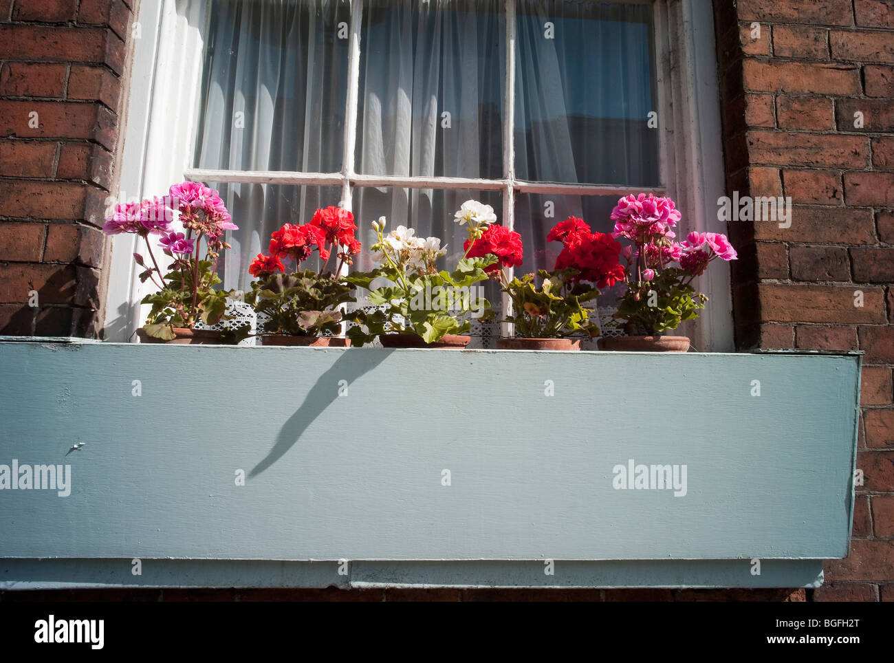 window boxes with geraniums Stock Photo Alamy