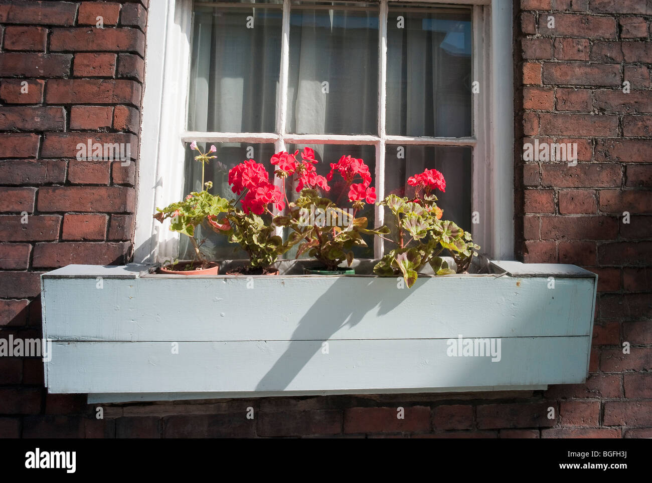 window boxes with geraniums Stock Photo Alamy