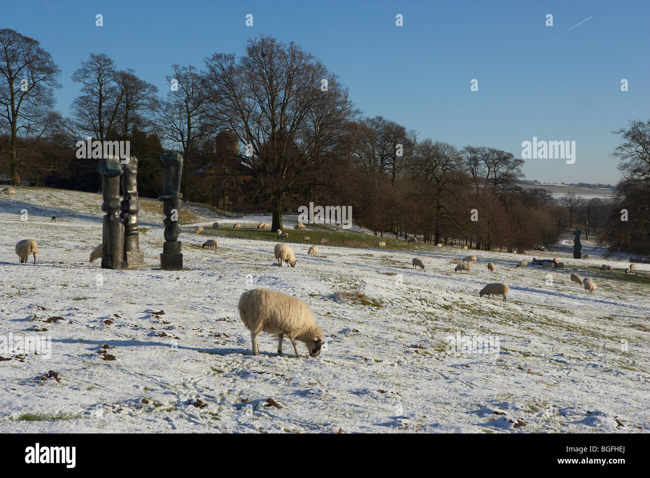 YORKSHIRE SCULPTURE PARK HENRY MOORE WEST BRETTON WINTER SNOW SHEEP Stock Photo