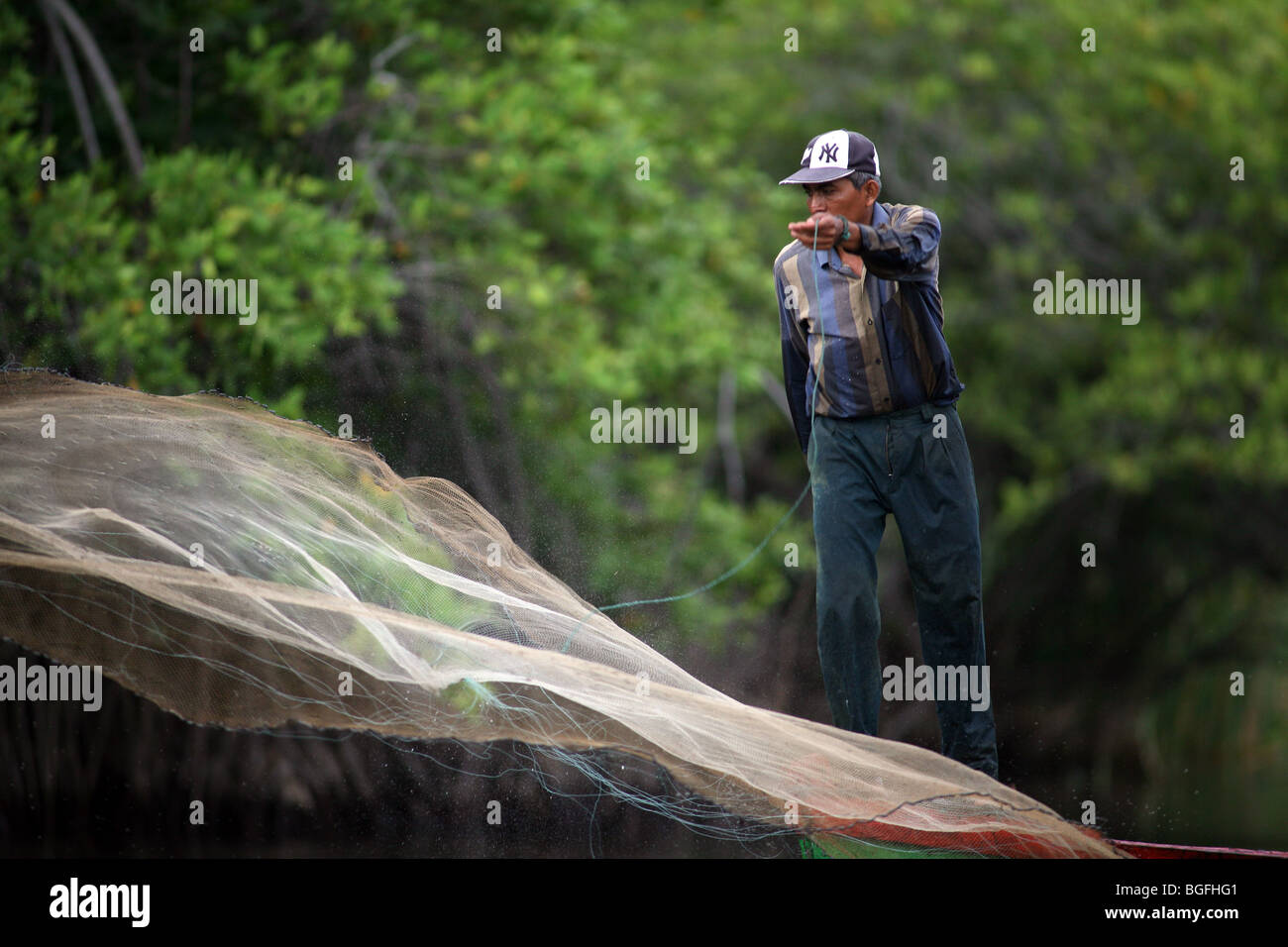 A fisherman casts his net on the mangrove swamps of Biotopo Monterrico in Guatemala Stock Photo
