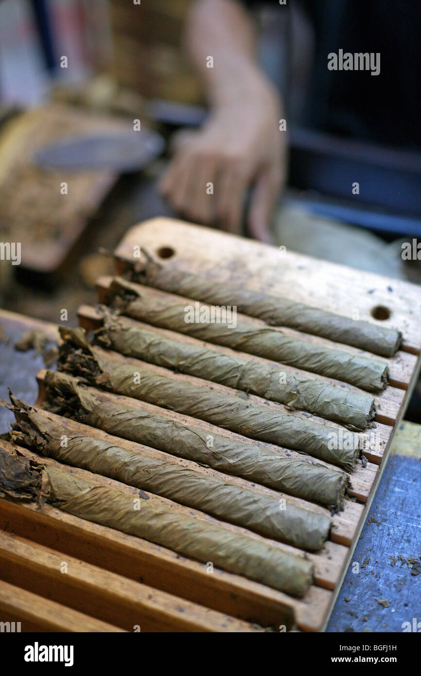 Hand rolled cigars at a factory. Esteli, Nicaragua, Central America