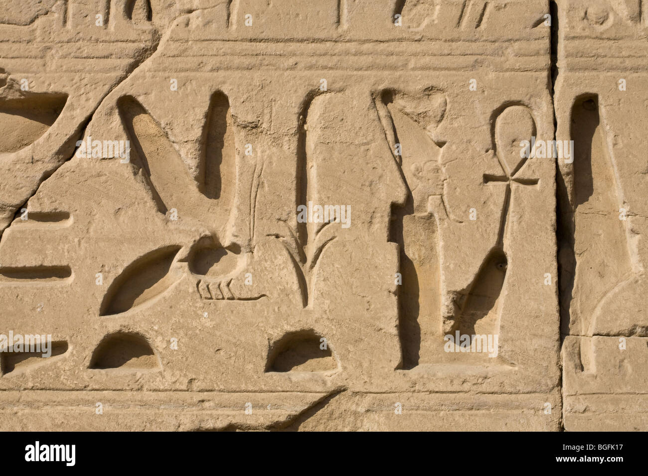 Relief showing King of Upper and Lower Egypt title in Hieroglyphs at