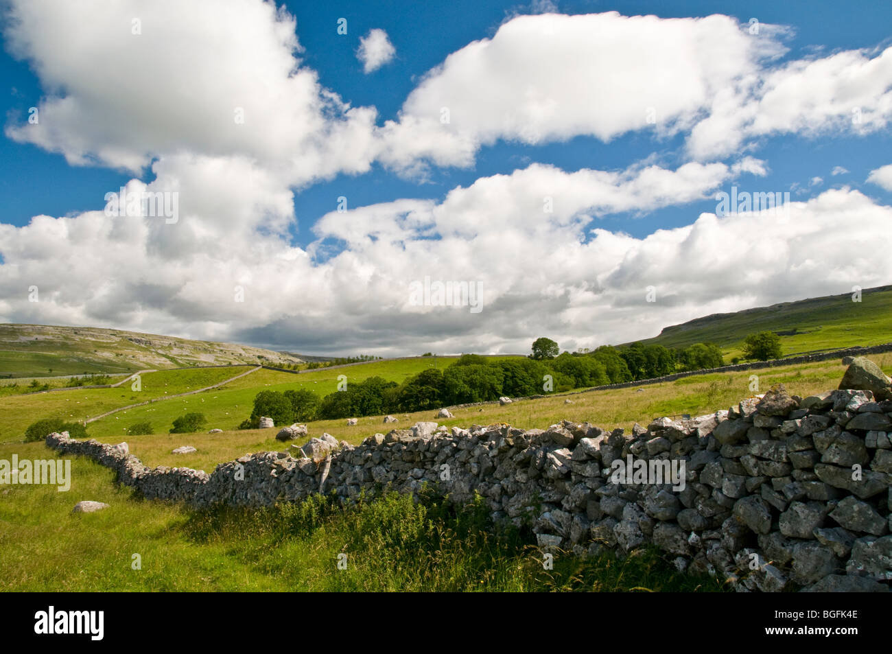 A traditional drystone wall in the North Yorkshire Dales Stock Photo