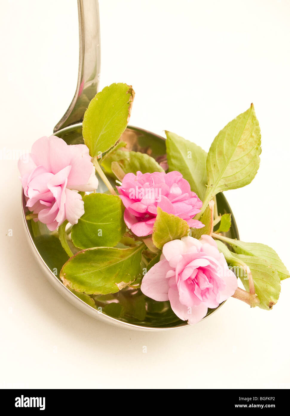 Ladle soup with flowers Stock Photo