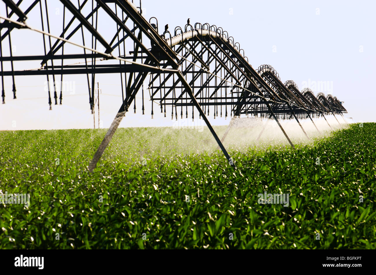 Irrigation system on a farm in Kansas Stock Photo Alamy