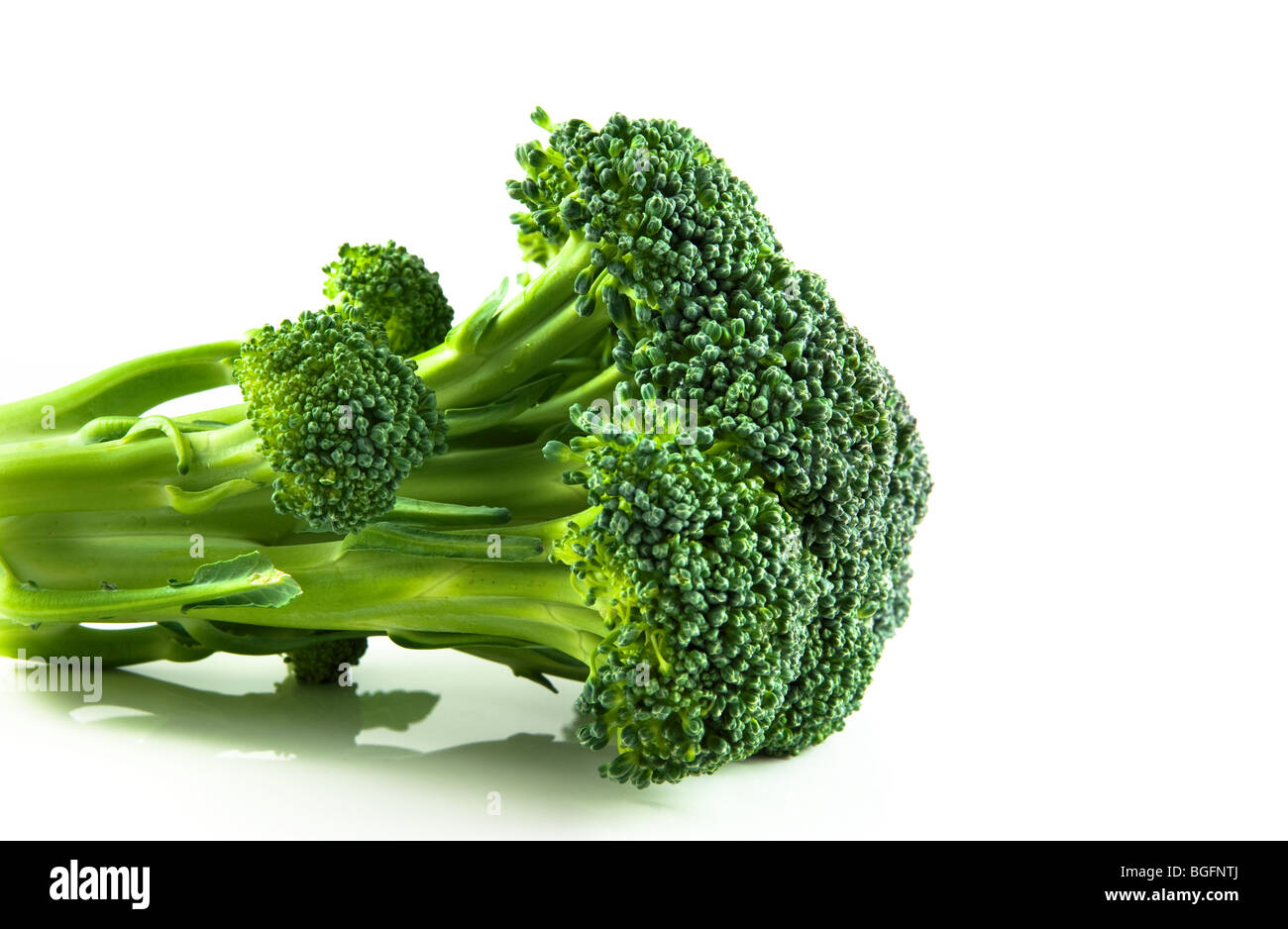A floret of brocolli against a white background Stock Photo
