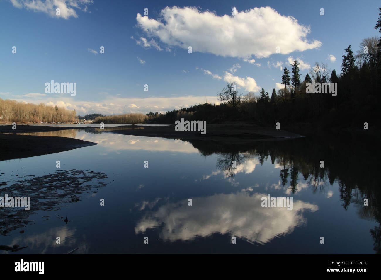 Willamette River reflection in West Linn Oregon Stock Photo