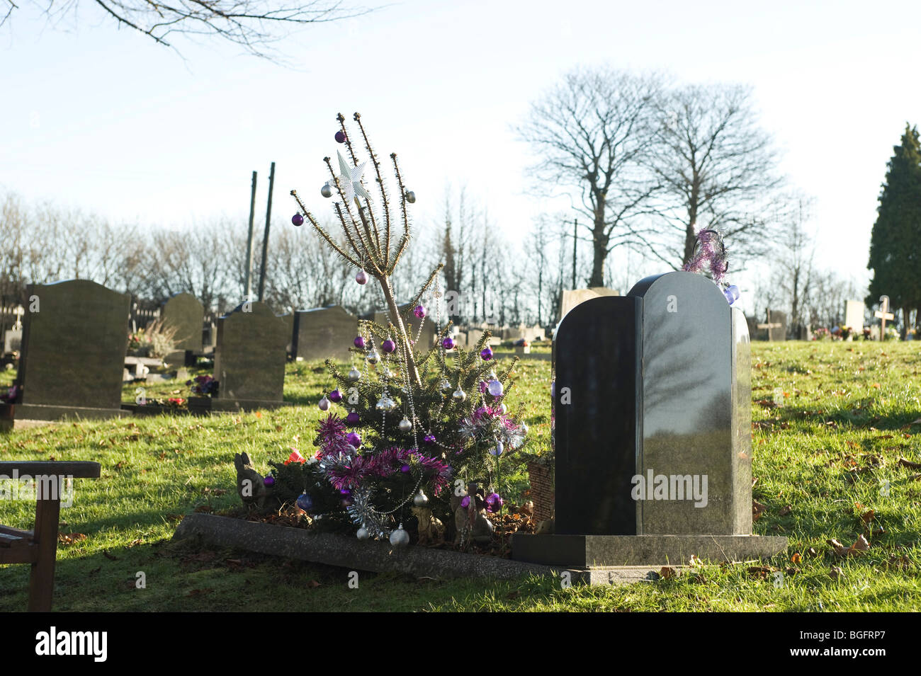 Christmas tree grave hires stock photography and images Alamy