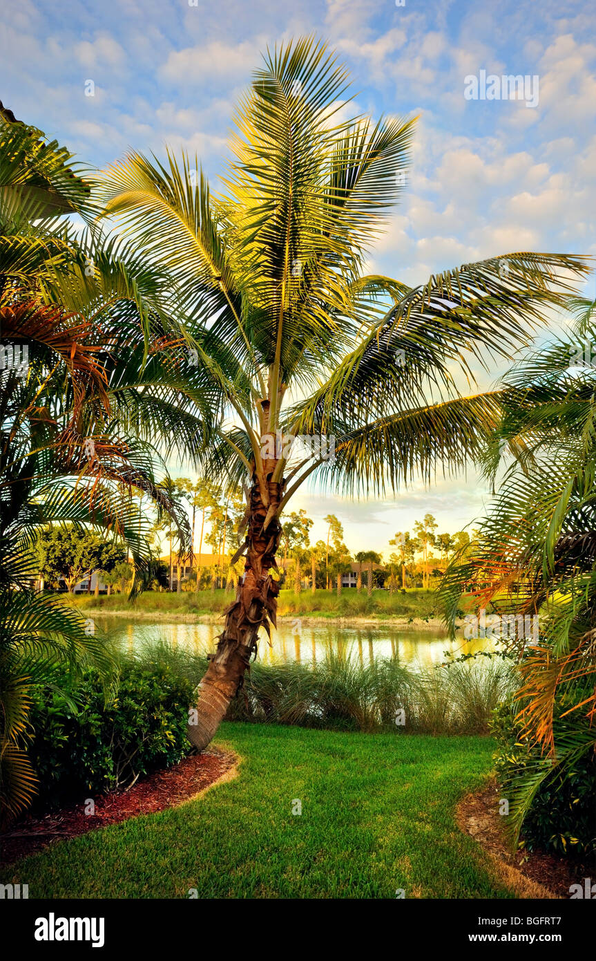 Glen Eagle Golf Club Country Resort, Naples, Florida, USA Stock Photo Glen Eagle Golf Club Country Resort, Naples, Florida, USA Stock Photo
