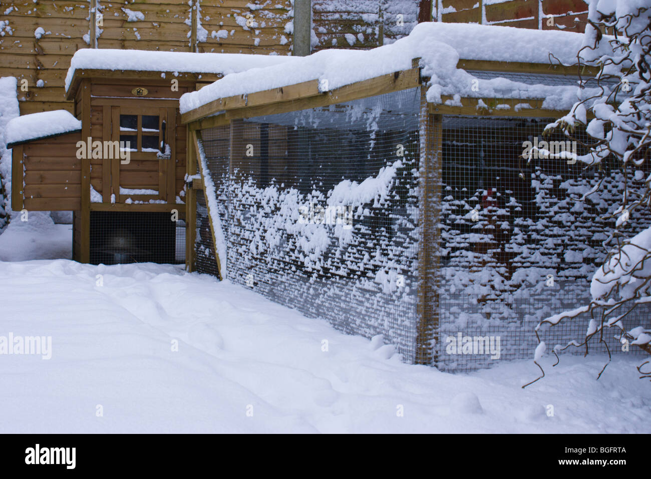 Chicken Run Covered In Winter Snow Stock Photo 27392858 Alamy