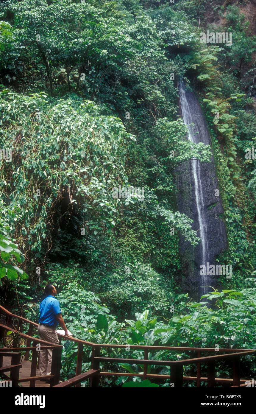 Person looking at a waterfall in the Chocoyero El Brujo Nature Reserve near Managua, Nicaragua. Stock Photo