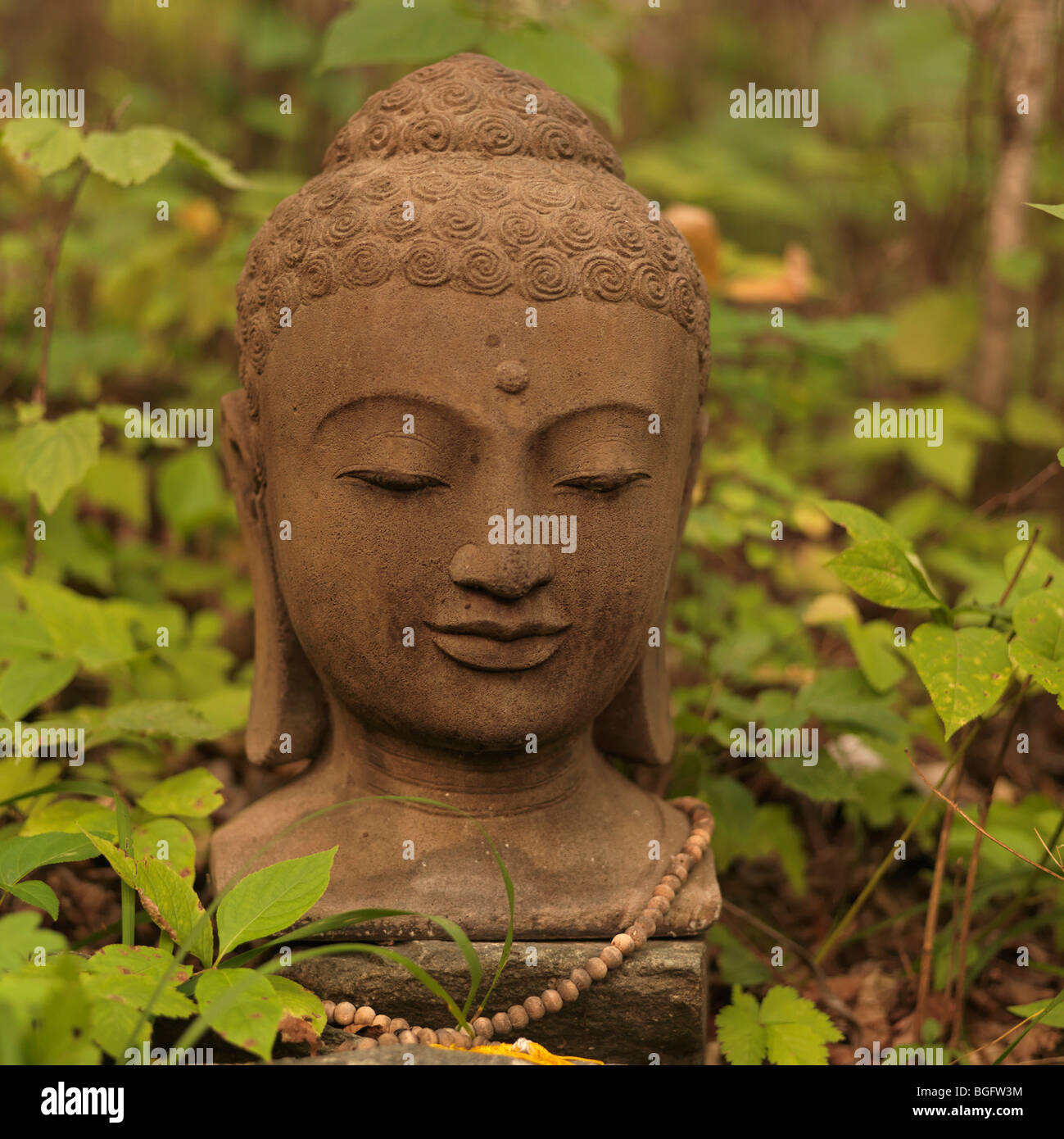 Buddha with closed eyes hi-res stock photography and images - Alamy