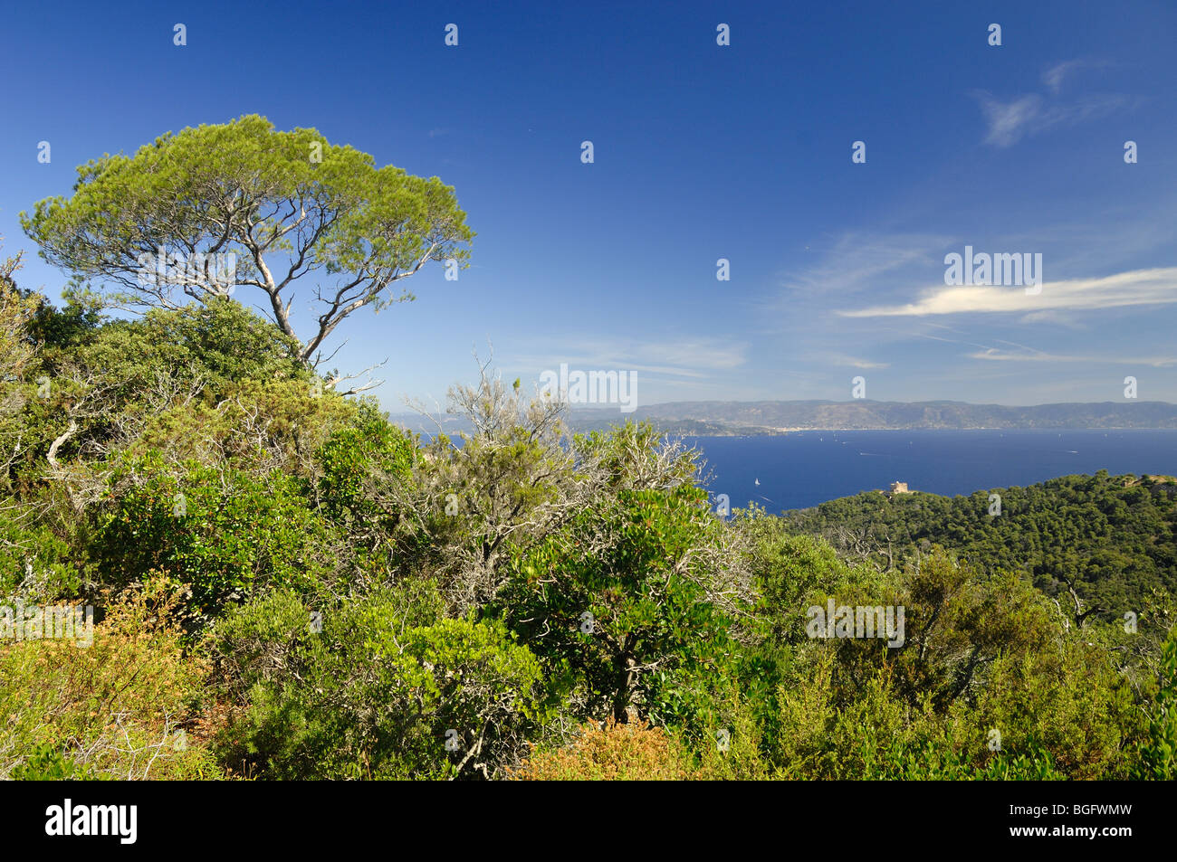 Port-Cros National Park, View from Mont Vinaigre, Port Cros Island, Îles d'Hyères, Var, Côte d'Azur or French Riviera, France Stock Photo
