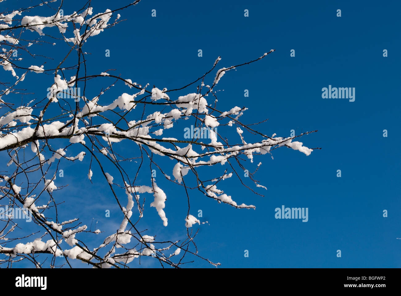 A winter scene with snow all around. Stock Photo