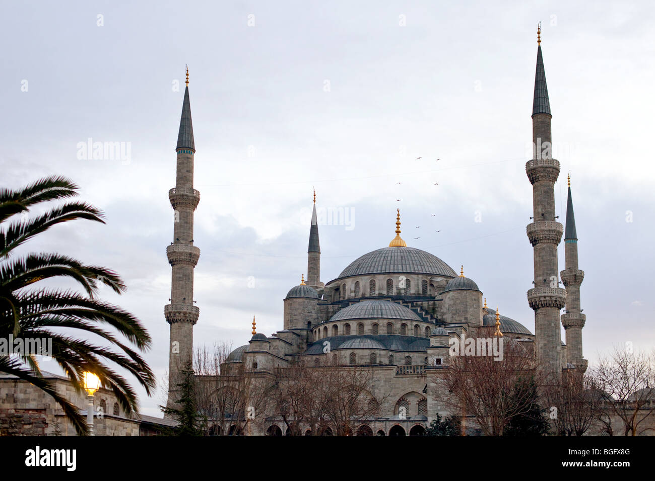 Blue Mosque , Sultan Ahmet MOsque, Istanbul Turkey Stock Photo - Alamy