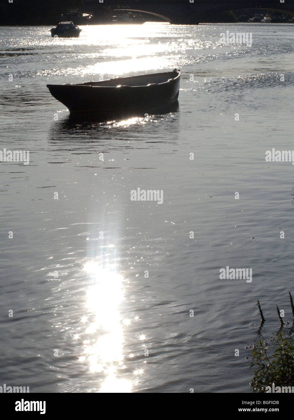 Row boat on River Thames during Summer, Kew, London, UK Stock Photo