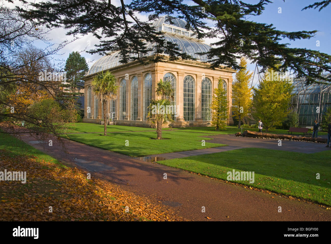 Autumn colours, Palm House, Edinburgh Royal, Botanic gardens, Lothians, Scotland, October, 2009 Stock Photo