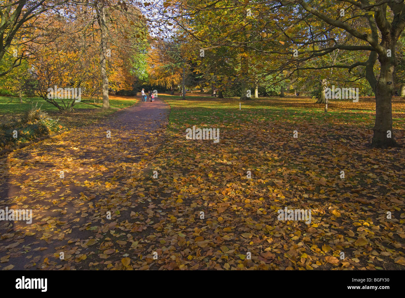 Autumn colours, Edinburgh Royal, Botanic gardens, Lothians, Scotland, October, 2009 Stock Photo