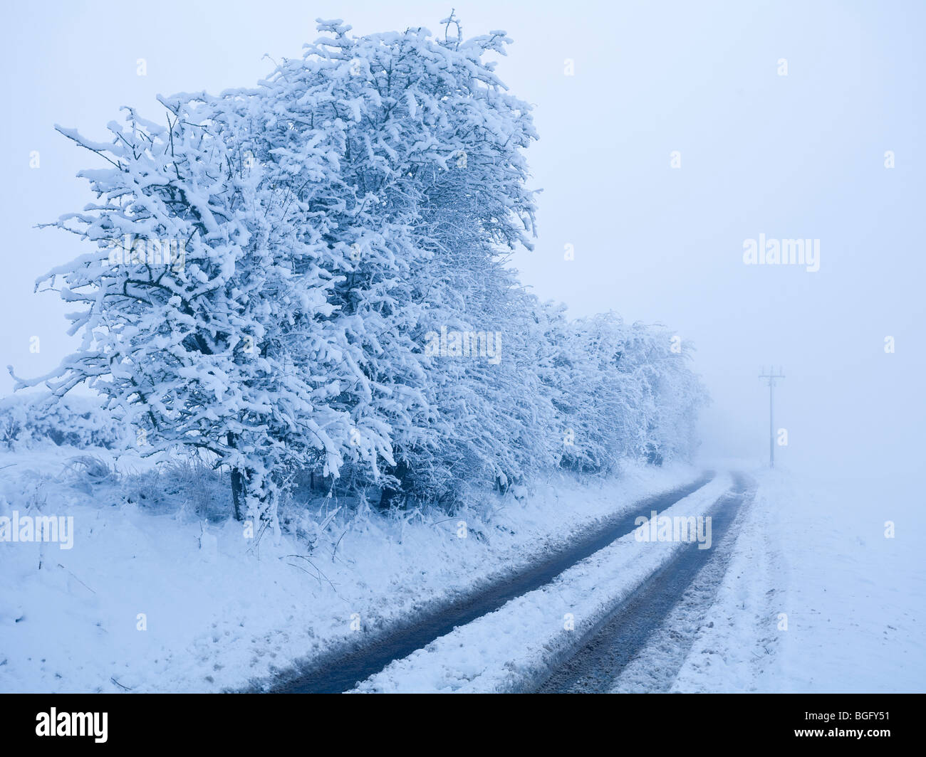 Snow tracks and fog in Litchfield Hampshire UK Stock Photo