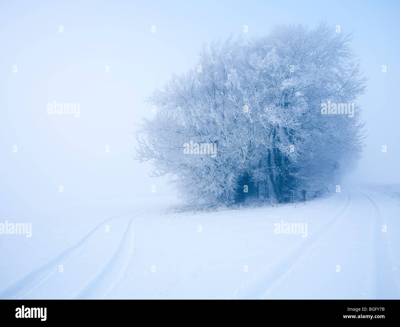 Snow in Litchfield Hampshire UK Stock Photo
