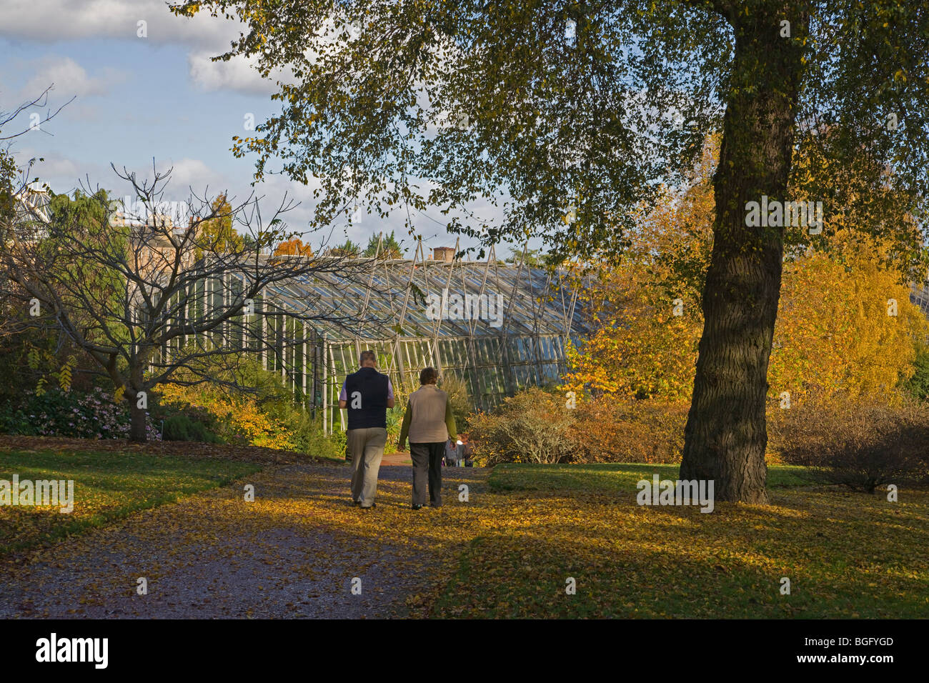 Autumn colours, Glasshouse, Edinburgh Royal, Botanic gardens, Lothians, Scotland, October, 2009 Stock Photo
