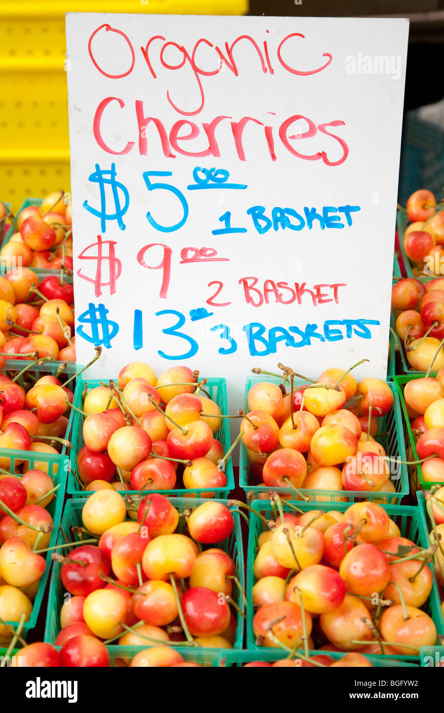 Close up of Organic Cherries on Sale at Ecology Center's Berkeley Farmers' Markets. Berkeley, California, USA Stock Photo
