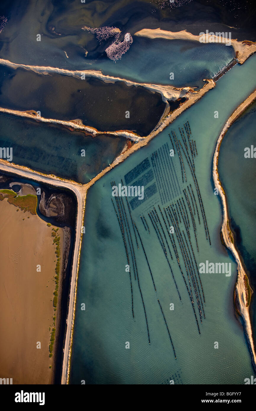 Oyster beds, Walvis Bay, Namibia Stock Photo