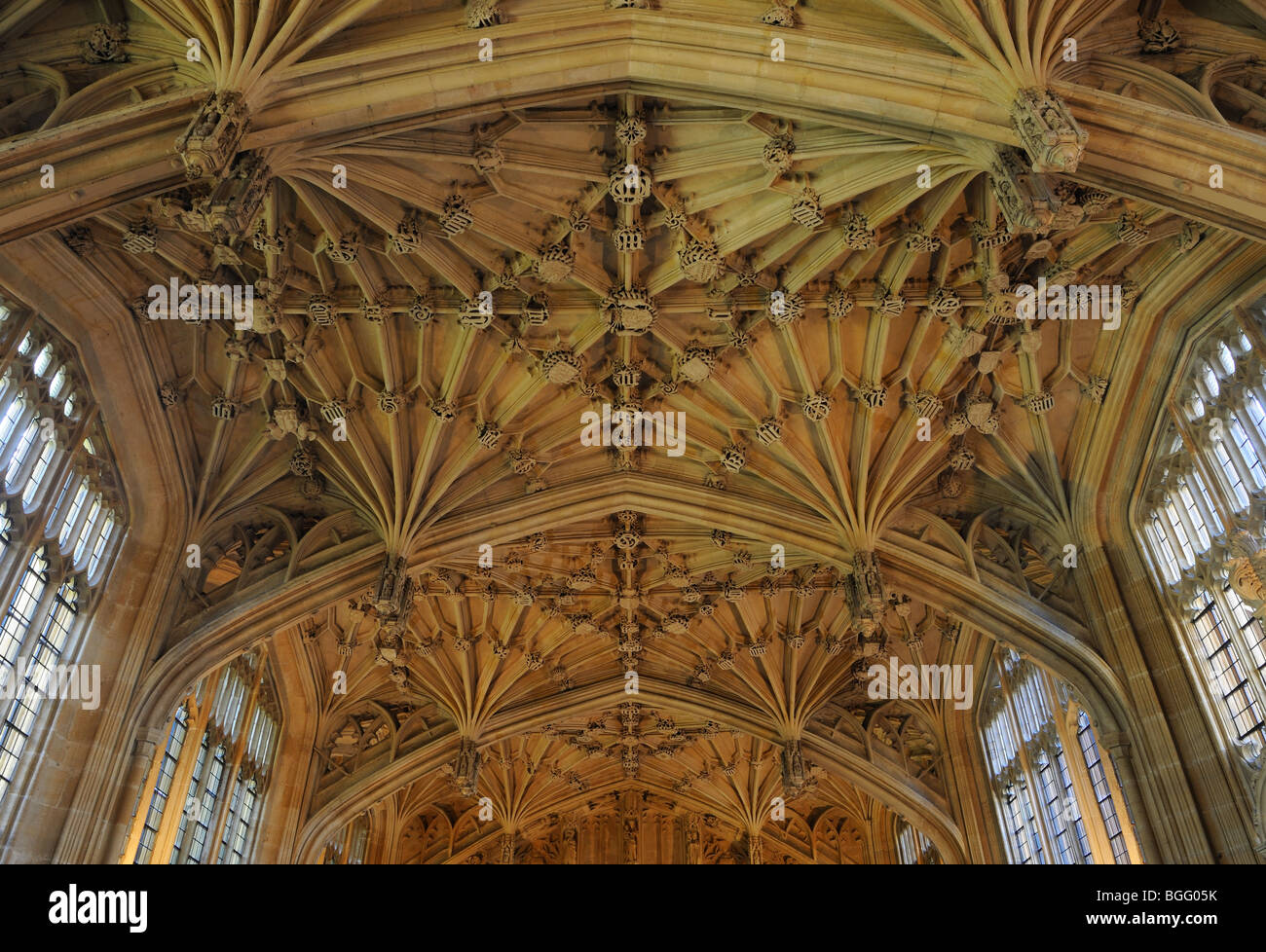 Divinity School Ceiling, Oxford - Britain Stock Photo