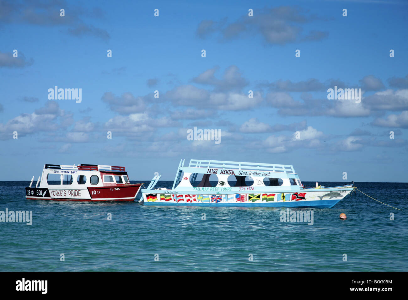 Glass bottom boats to visit the Tobago coral Reefs are waiting at the