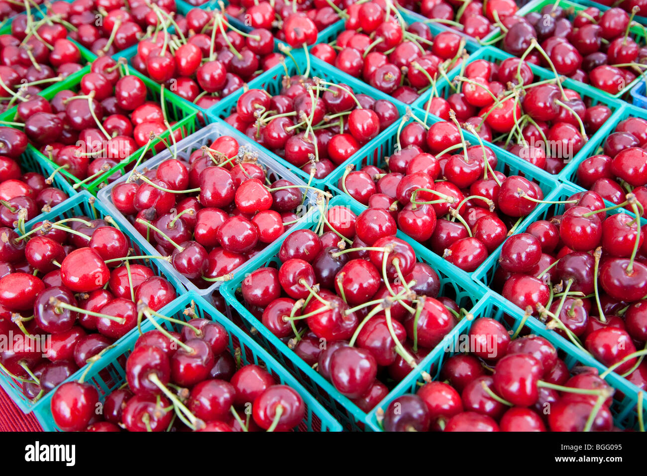 Close up of Organic Cherries on Sale at Ecology Center's Berkeley Farmers' Market. Berkeley, California, USA Stock Photo