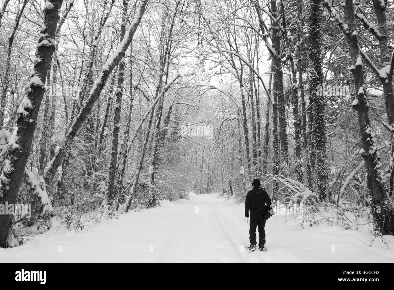 Winter snowshoeing near Portland Oregon Stock Photo Alamy