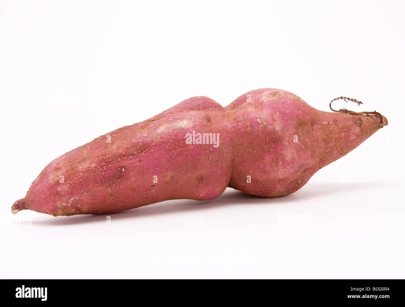 Sweet potato against white background from low perspective. Stock Photo