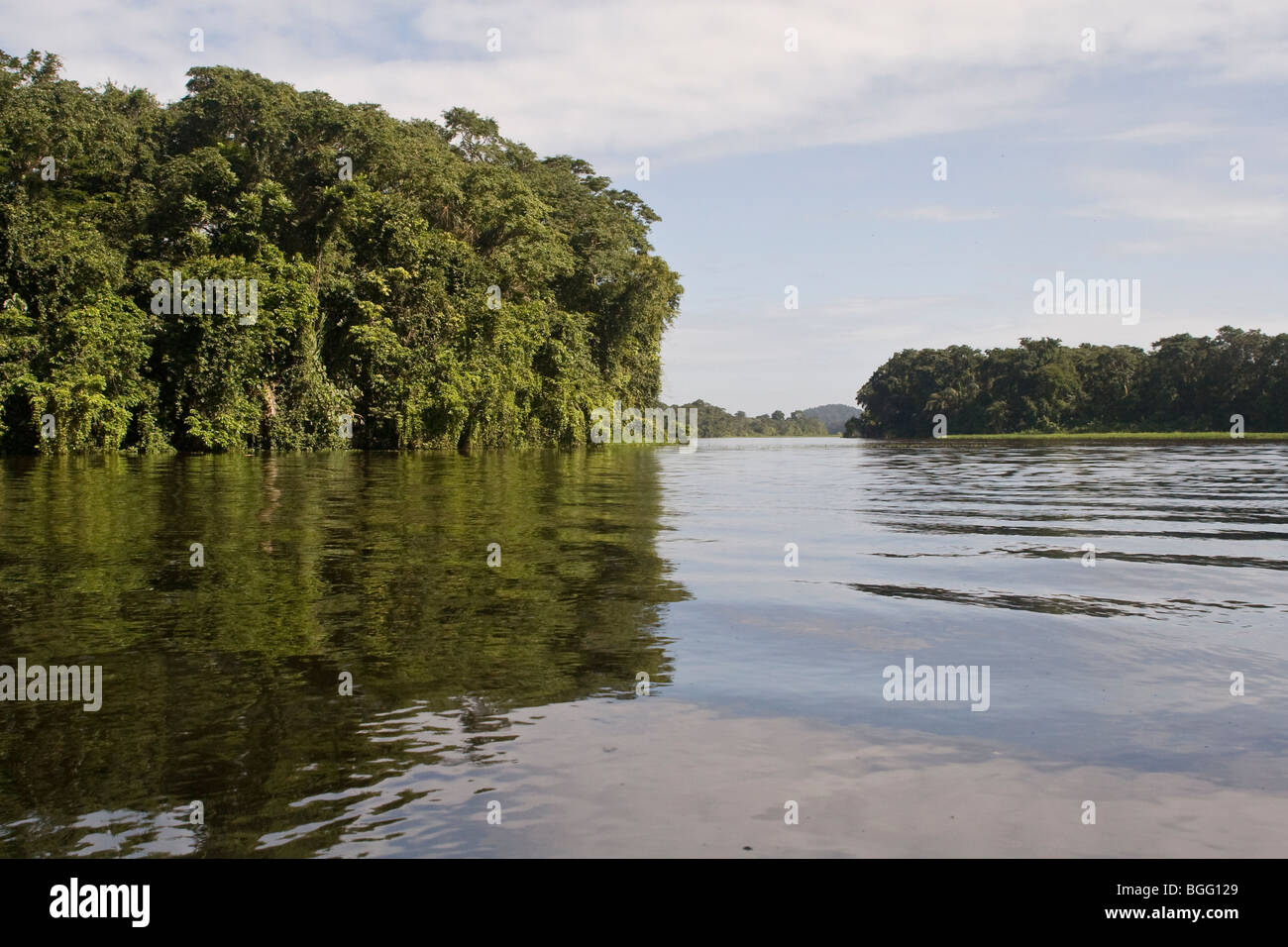 Slow-moving river alongside lowland tropical rainforest. Photographed ...