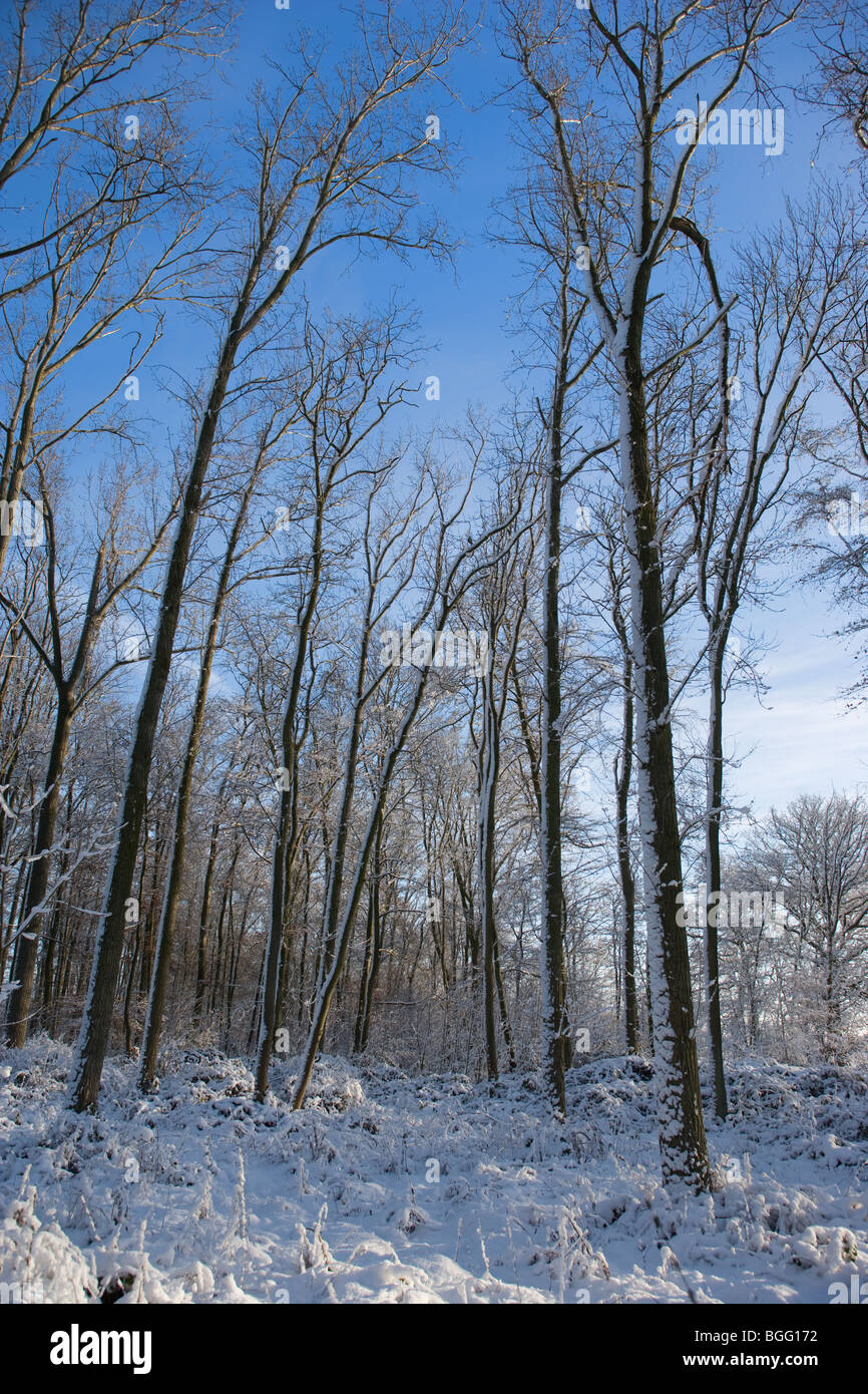 Covered snow hi-res stock photography and images - Alamy