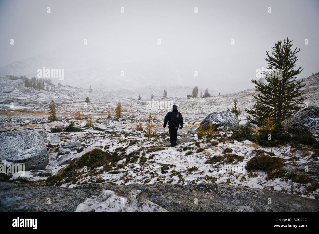 A person walking into a stormy snow covered alpine landscape, Enchantment Lakes Wilderness Area, Washington Cascades, USA. Stock Photo
