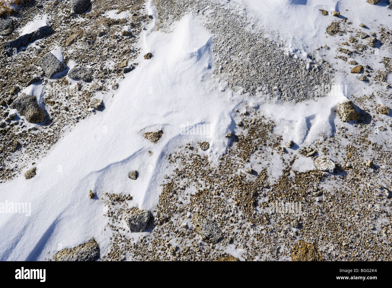 Details of snow on the ground hi-res stock photography and images - Alamy