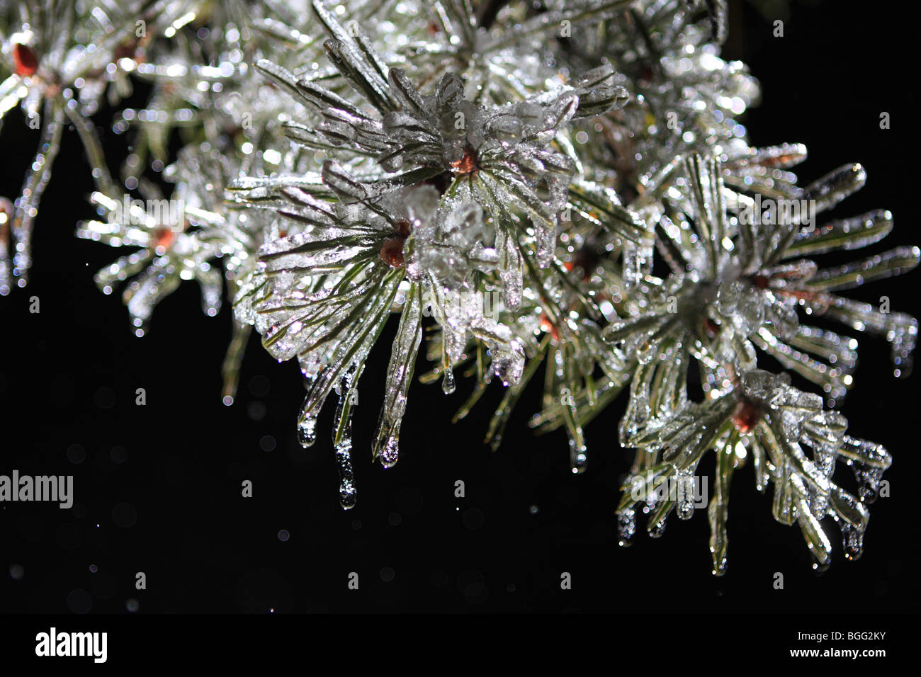 Freezing rain night hi-res stock photography and images - Alamy