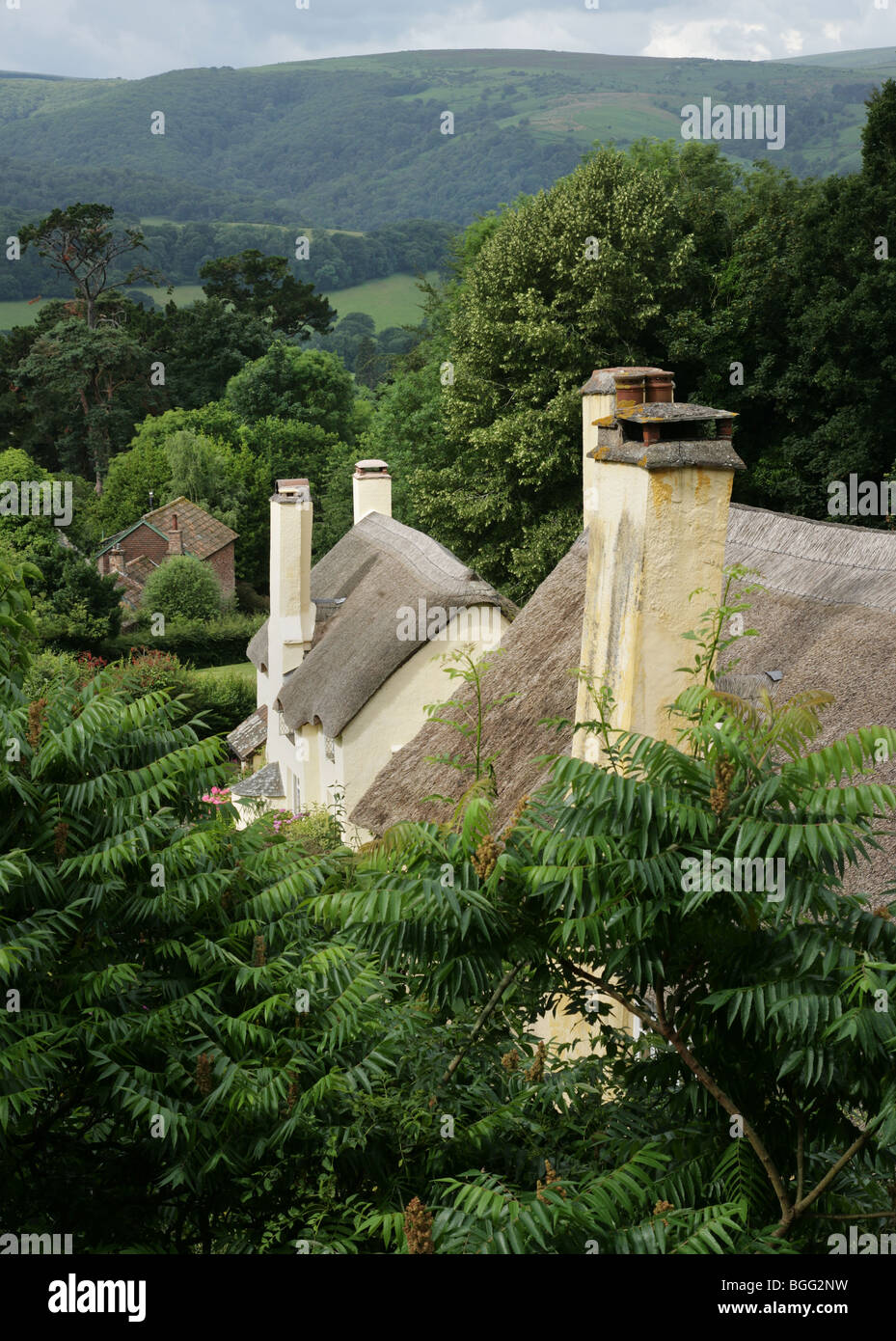 Ochre painted house hires stock photography and images Alamy