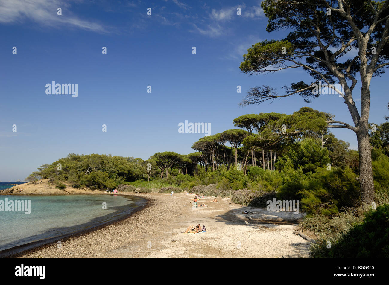 Plage d'Argent or Beach & Umbrella Pines, Porquerolles Island, Îles d'Hyères,  Var, Côte d'Azur or French Riviera, France Stock Photo - Alamy