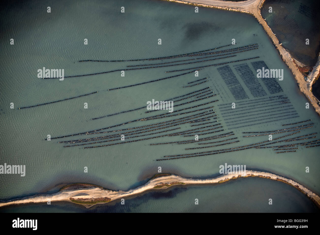 Oyster beds, Walvis Bay, Namibia Stock Photo