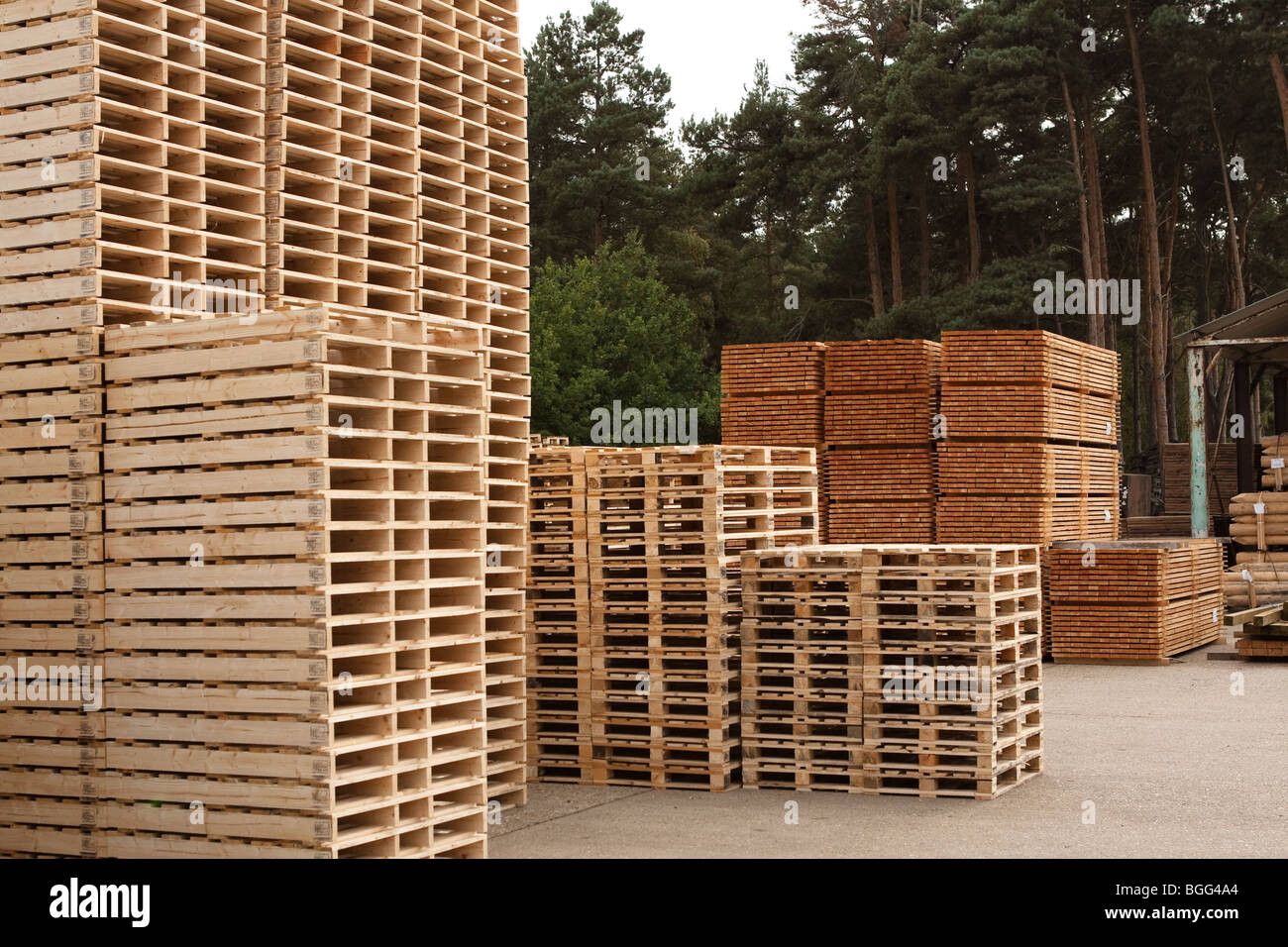 Wood and fencing supplies Timber Merchant UK Stock Photo Alamy