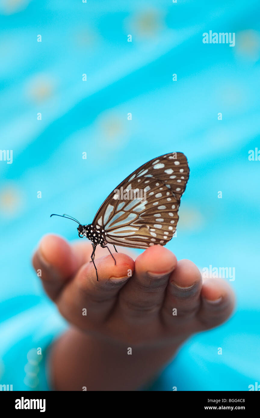 Tirumala limniace. Blue Tiger butterfly on the hands of an Indian girl. India Stock Photo