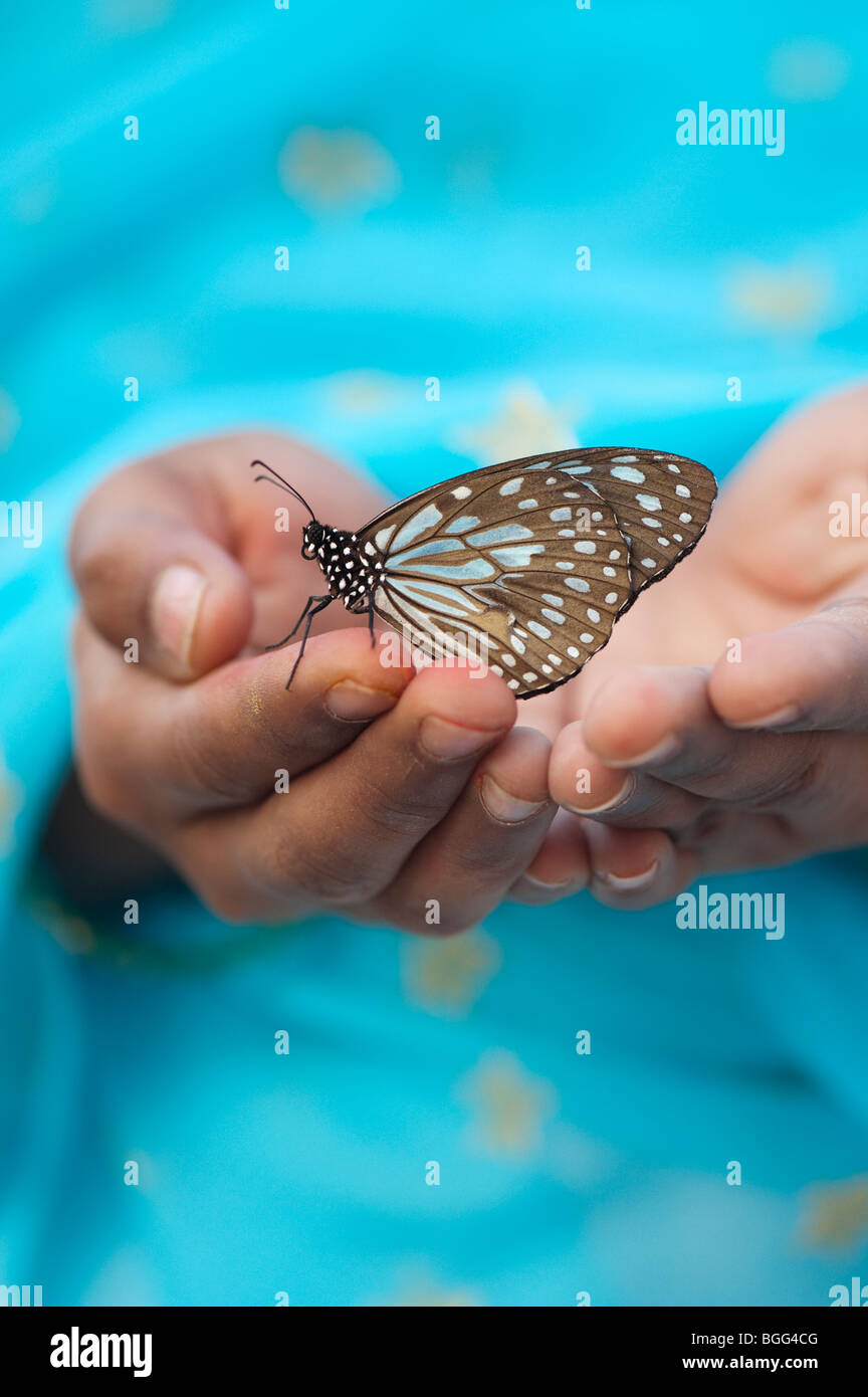 Tirumala limniace. Blue Tiger butterfly on the hands of an Indian girl. India Stock Photo